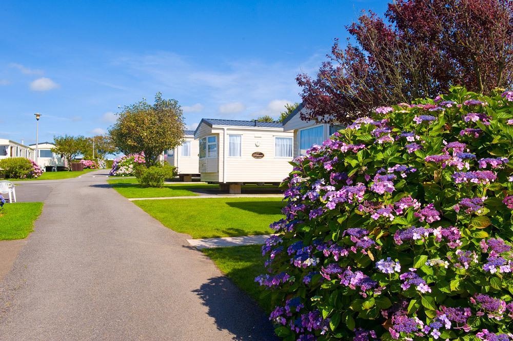 Wooda Farm Holidays Bude Pokoj fotografie
